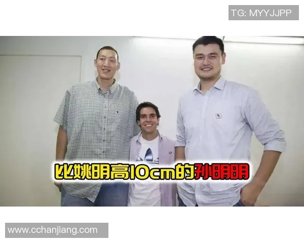 姚明在NBA赛场上演帽子戏法的传奇时刻与背后故事揭秘