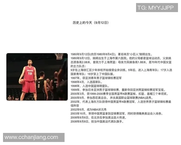 姚明金泉：从篮球巨星到商业领袖的成功转型之路